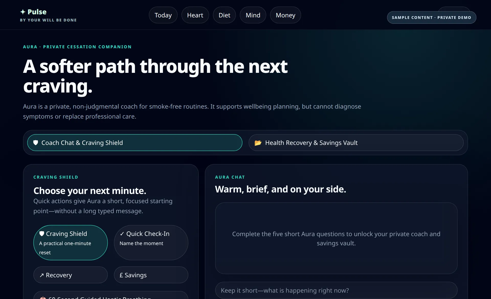 Illustrative preview based on the Pulse Aurora workspace